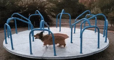 Running Dog