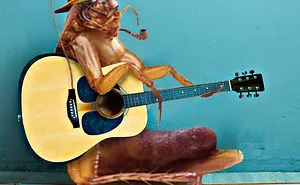 More Of The Cockroach Diaries