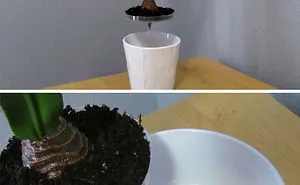 People Are Sharing The Best Hiding Places To Hide Your Valuables From Thieves