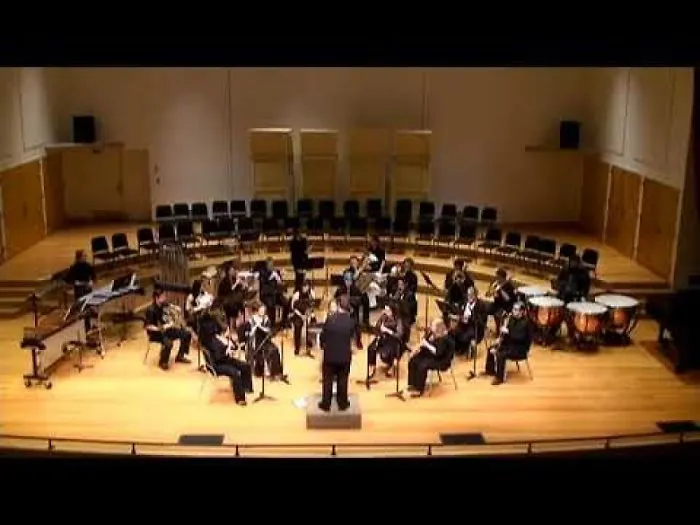Wu-Tang Clan Theme By 20 Piece Orchestra