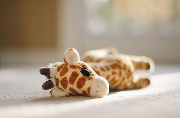 Photographed A Giraffe At A Daycare