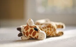 Photographed A Giraffe At A Daycare