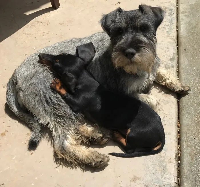 Tilly And Leo