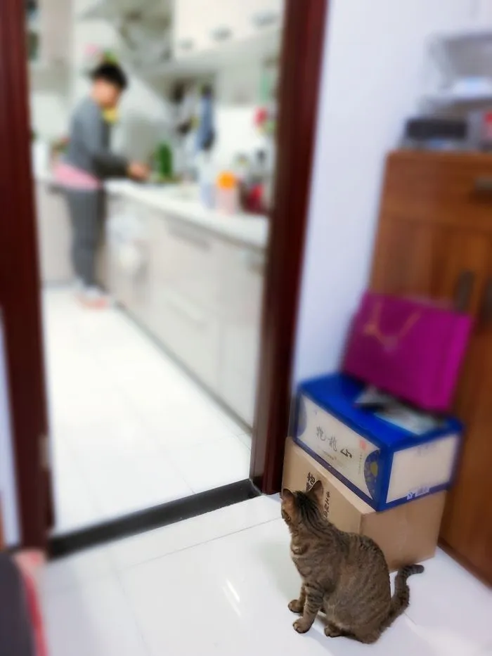 Double Checking...