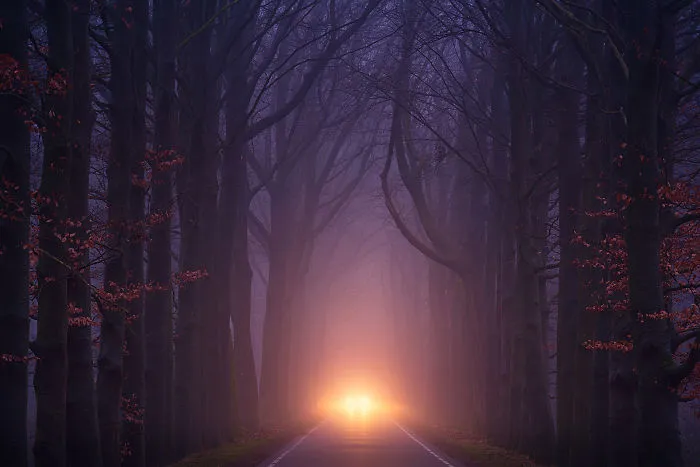 Luces de la tarde