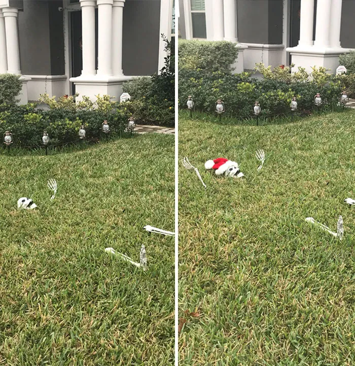 Next Day After Halloween: "Finally Finished The Christmas Decorations!"