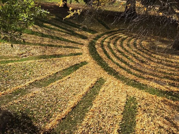 Every Year This University Employee Rakes Leaves Into Stunning Works Of Art And Leaves It For Students To Find