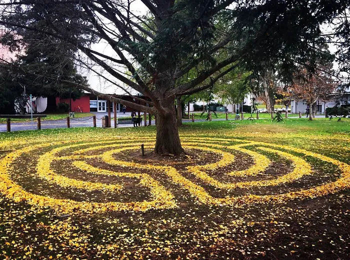 Every Year This University Employee Rakes Leaves Into Stunning Works Of Art And Leaves It For Students To Find