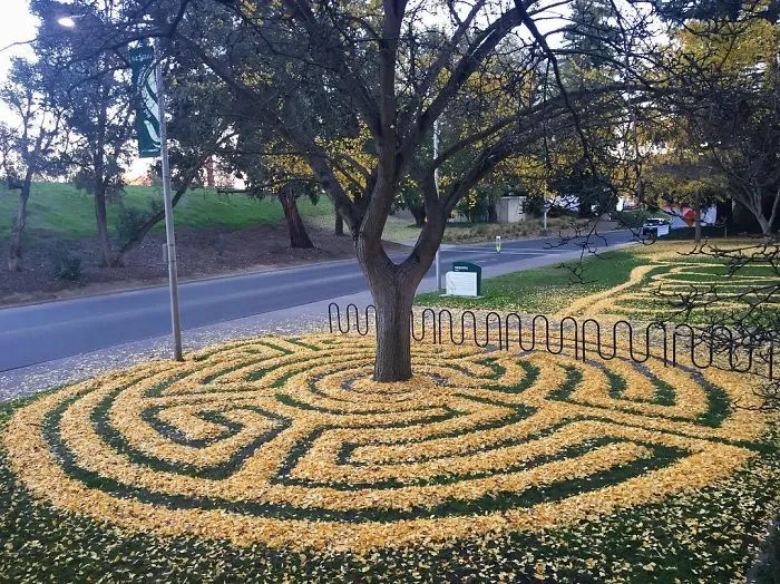 Every Year This University Employee Rakes Leaves Into Stunning Works Of Art And Leaves It For Students To Find