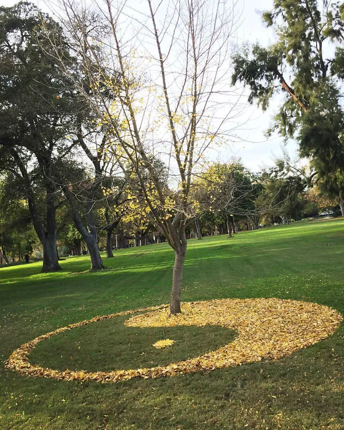 Every Year This University Employee Rakes Leaves Into Stunning Works Of Art And Leaves It For Students To Find