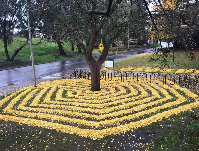 Every Year This University Employee Rakes Leaves Into Stunning Works Of Art And Leaves It For Students To Find