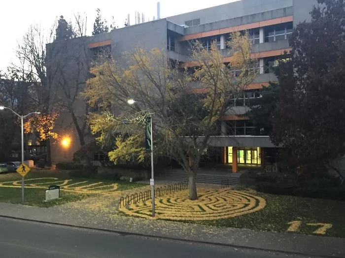 Cada año, esta empleada de la universidad amontona las hojas caídas en formas artísticas para que los estudiantes las encuentren