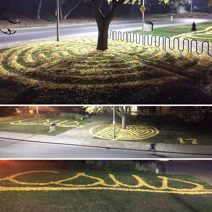 Every Year This University Employee Rakes Leaves Into Stunning Works Of Art And Leaves It For Students To Find