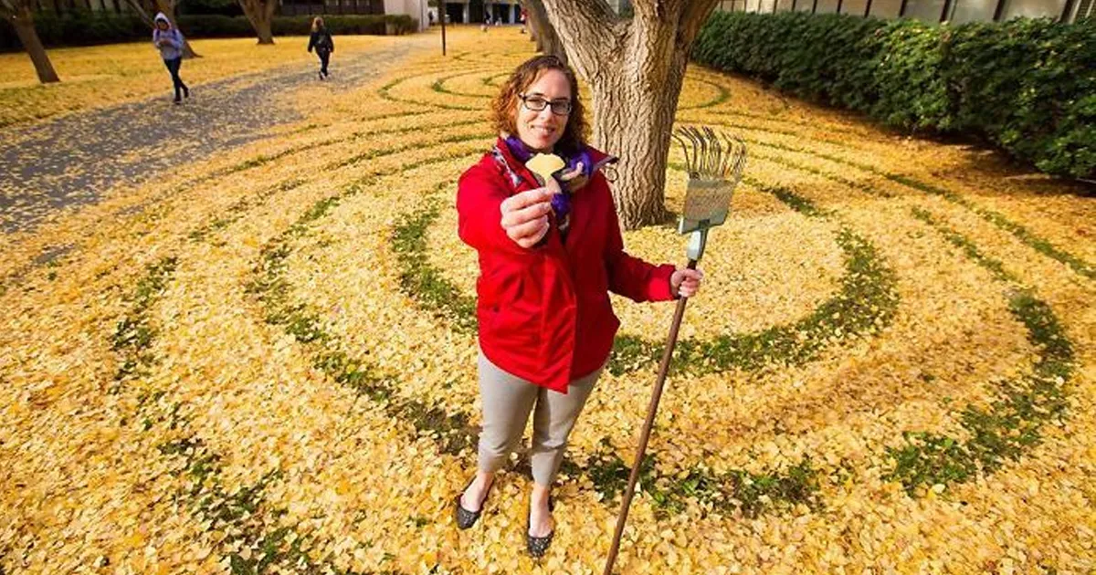 Cada año, esta empleada de la universidad amontona las hojas caídas en formas artísticas para que los estudiantes las encuentren