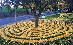 Every Year This University Employee Rakes Leaves Into Stunning Works Of Art And Leaves It For Students To Find