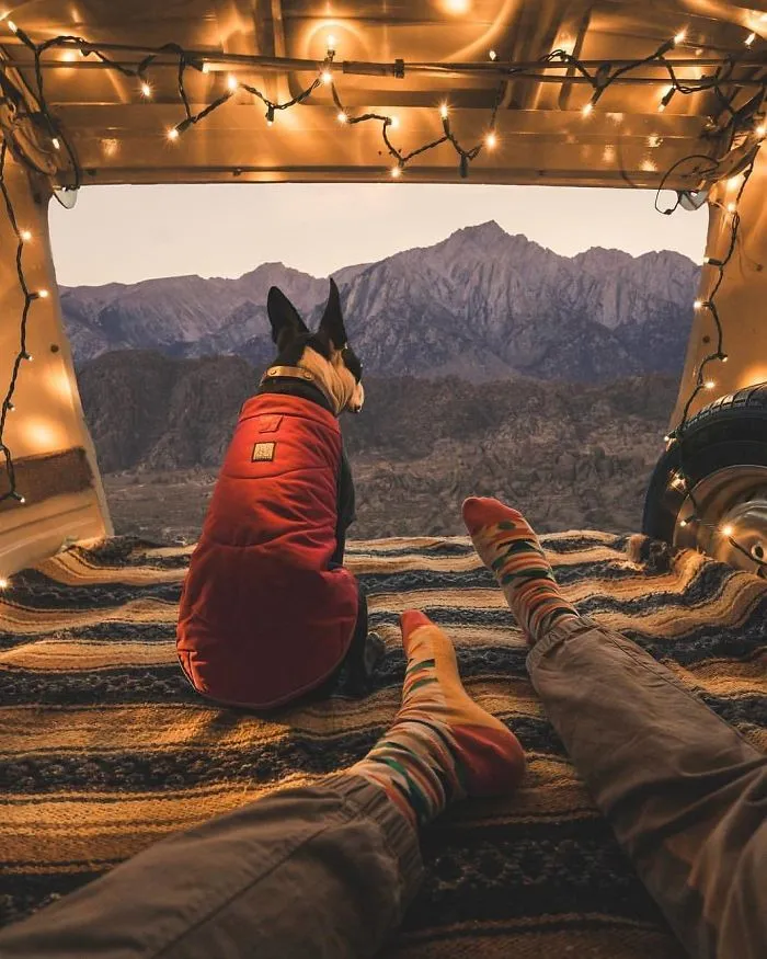 308 Pics From 'Project Van Life' Instagram That Will Make You Wanna Quit Your Job And Travel The World