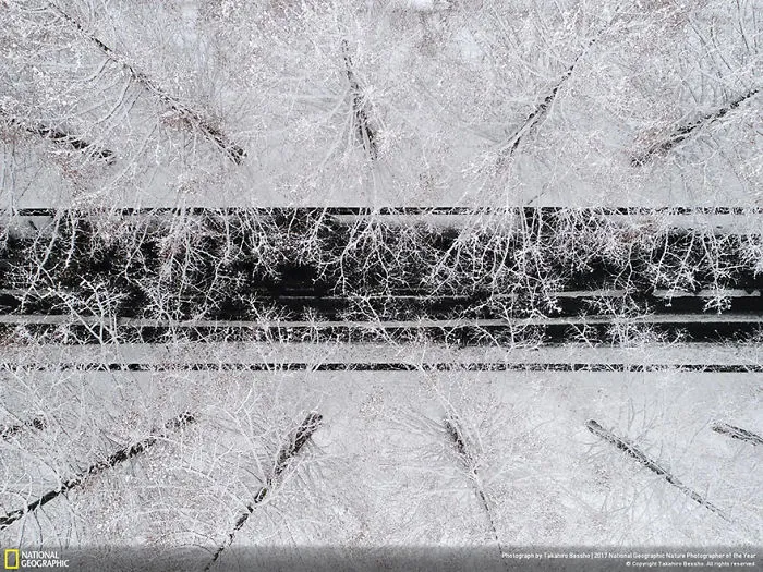 Second Place Winner, Aerials: From Above, Takahiro Bessho