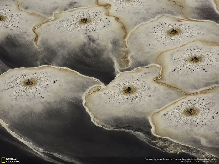 People's Choice: From Above, Jassen Todorov