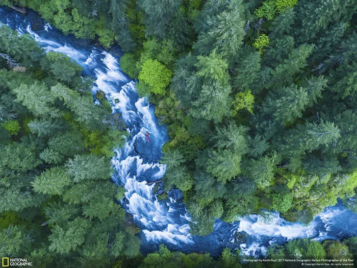 People's Choice: Kayakers On The River, Karim Iliya