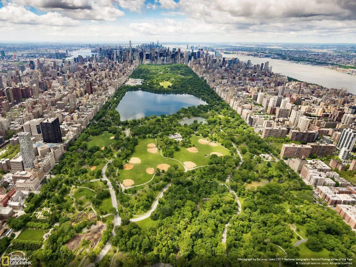 Central Park - Southern View, Antonio Lopez