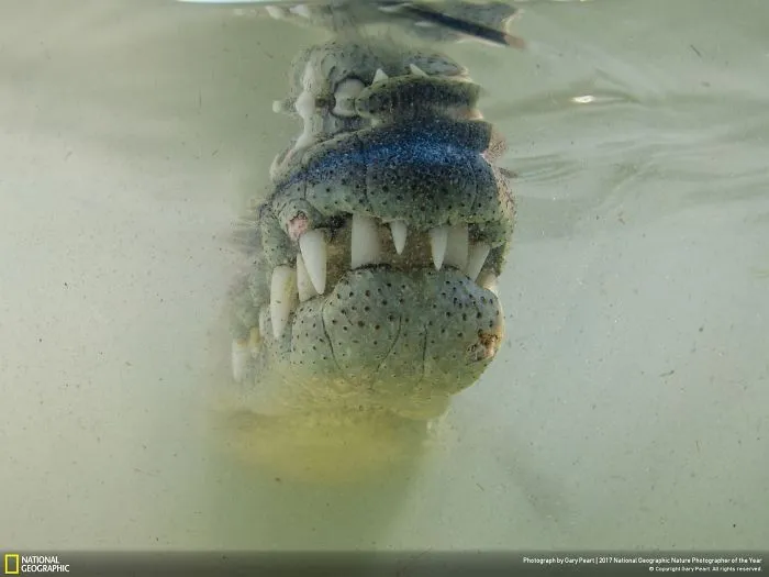 Smile For The Camera, Gary Peart