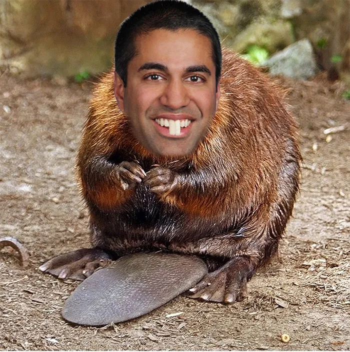 FCC Just Killed Net Neutrality, And Here's 55 Of The Best Responses