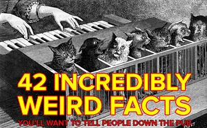 42 Incredibly Weird Facts You'll Want To Tell All Your Friends
