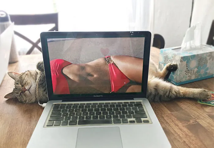 Look At That Body
