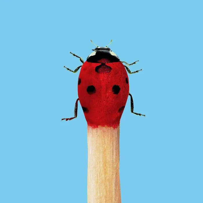 This Artist Combines Unexpected Objects Into Mind-Boggling Images