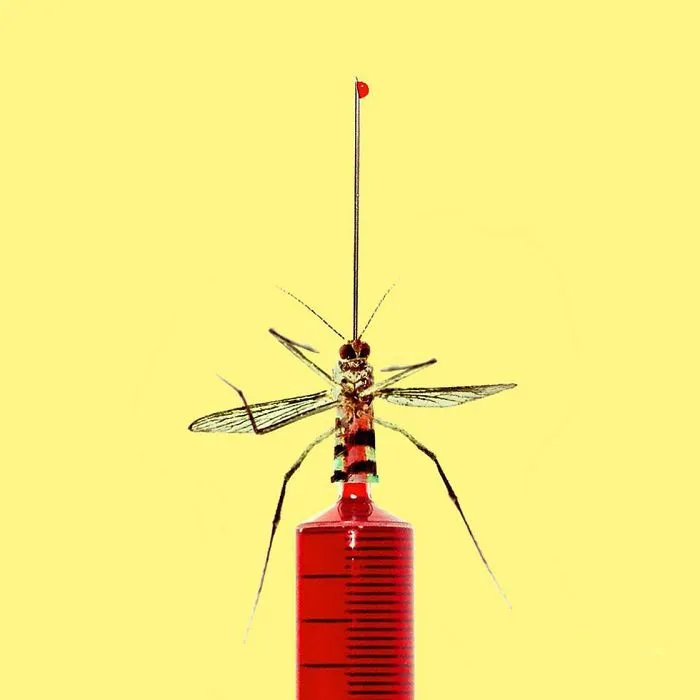 This Artist Combines Unexpected Objects Into Mind-Boggling Images