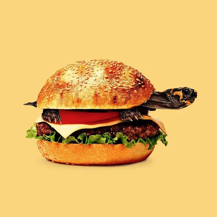 This Artist Combines Unexpected Objects Into Mind-Boggling Images