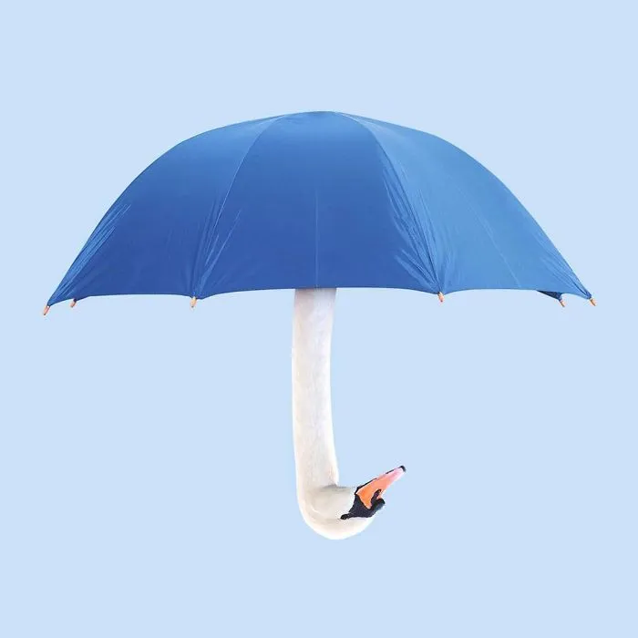 This Artist Combines Unexpected Objects Into Mind-Boggling Images