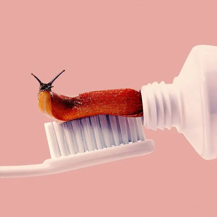 This Artist Combines Unexpected Objects Into Mind-Boggling Images