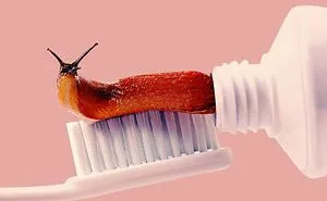 This Artist Combines Unexpected Objects Into Mind-Boggling Images