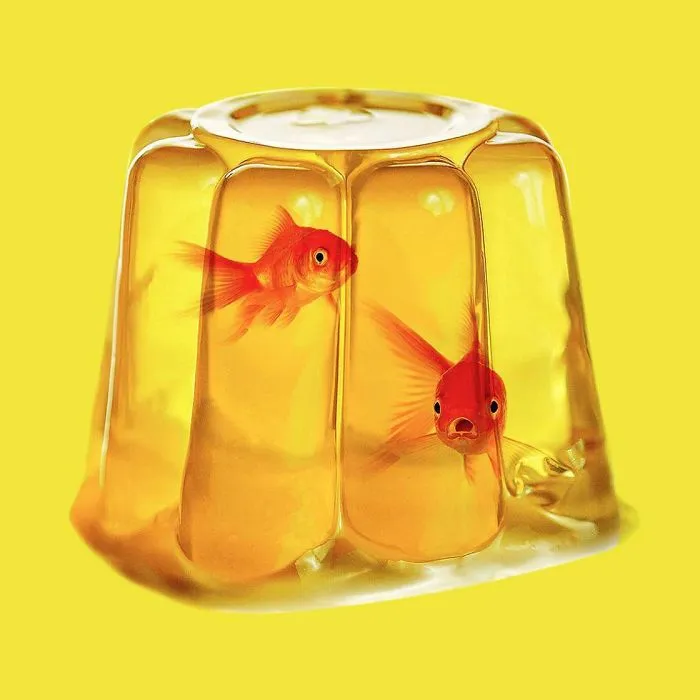 This Artist Combines Unexpected Objects Into Mind-Boggling Images