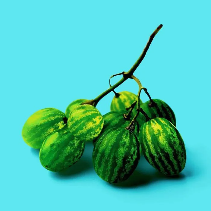 This Artist Combines Unexpected Objects Into Mind-Boggling Images