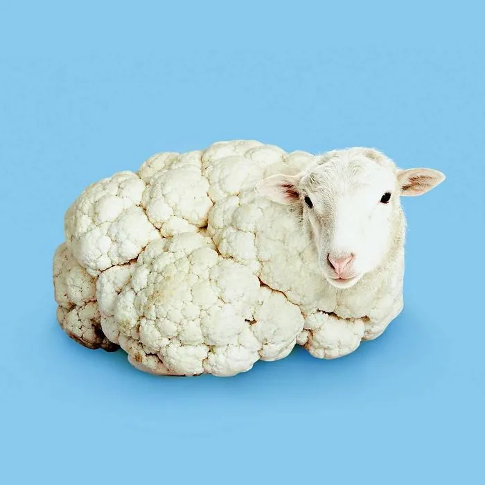 This Artist Combines Unexpected Objects Into Mind-Boggling Images