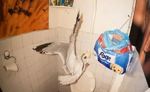 Share Your Most Unbelievable "Pics Or It Didn't Happen" Moment That You Actually Captured On Camera