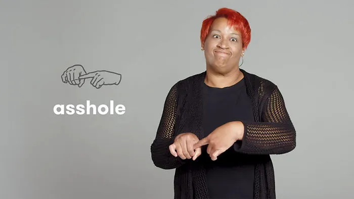 How To Say As****e In Sign Language?