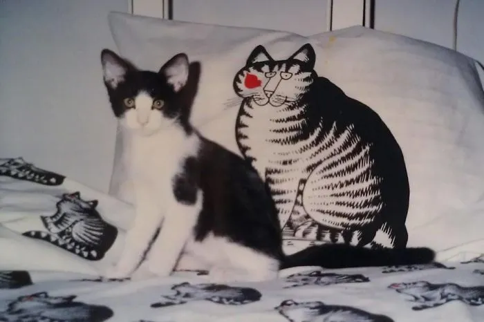 Copycat!