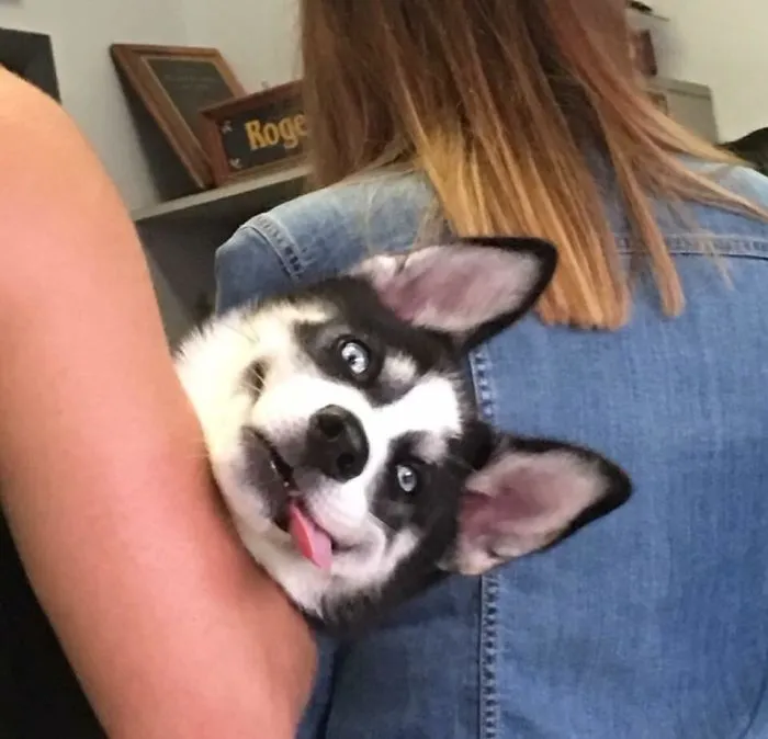 After The Vet. Feeling No Pain