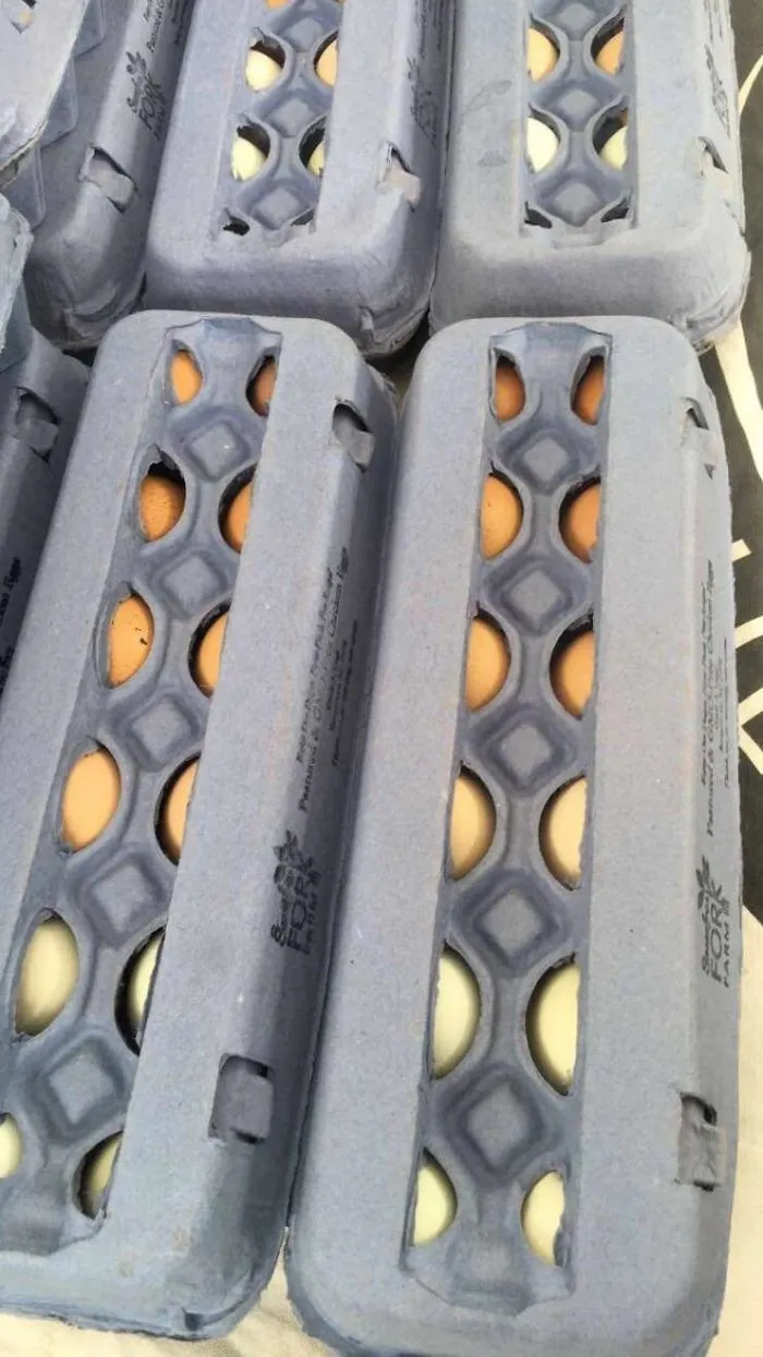 These Eggs At The Farmer's Market Were All Arranged To Have A Color Gradient