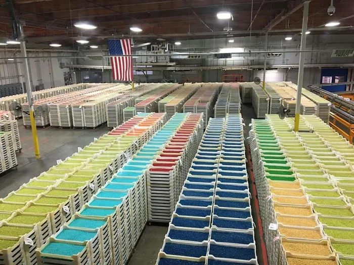 Jellybelly Factory