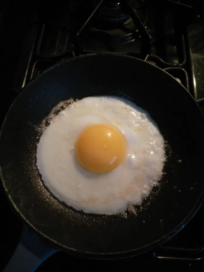 This Egg