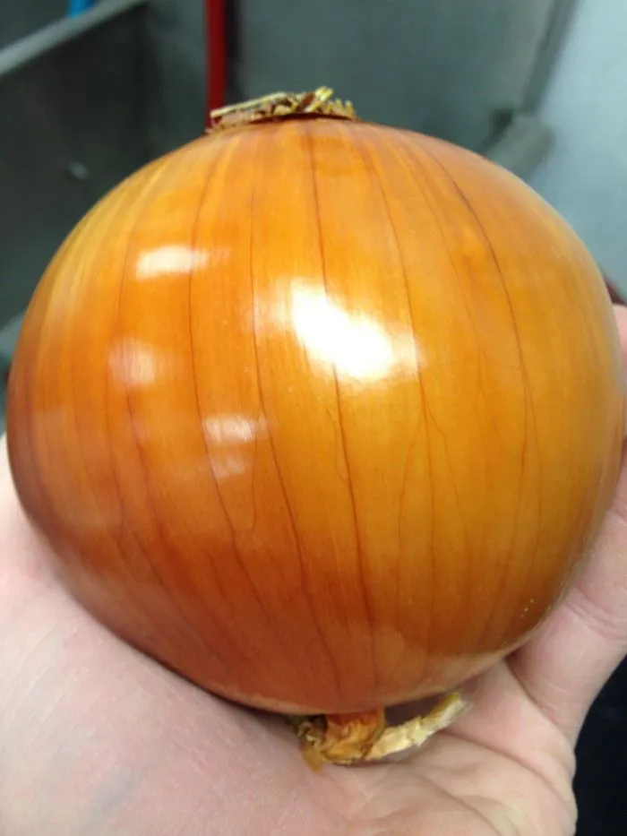 Look At This Sexy Onion
