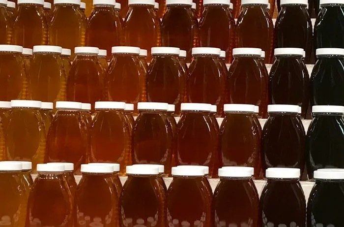 This Display Of Different Kinds On Honey At The Minnesota State Fair