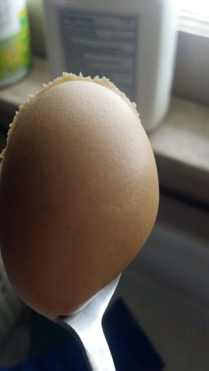 Ridiculously Photogenic Scoop Of Peanut Butter