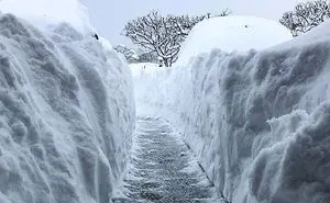 It's So Cold In America And Canada That People Are Posting Photos Of Their Windows Breaking