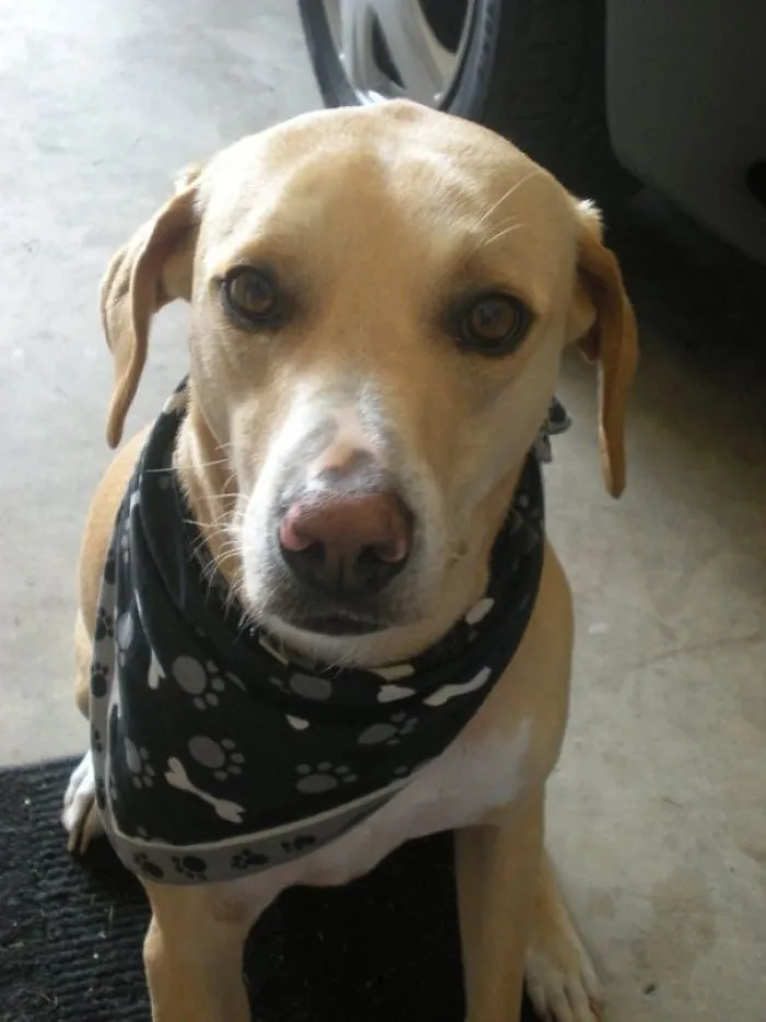 Cooper me ha salvado de ahogarme y detectó mi infarto antes de que yo lo supiera