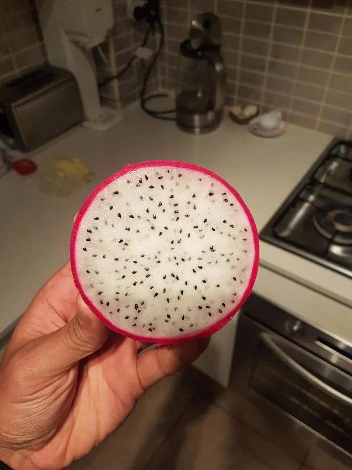 A Perfect Dragonfruit That I Grew In My Backyard